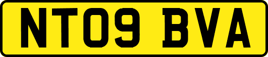 NT09BVA