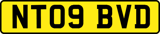 NT09BVD