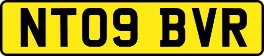 NT09BVR