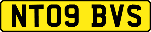 NT09BVS