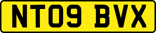 NT09BVX