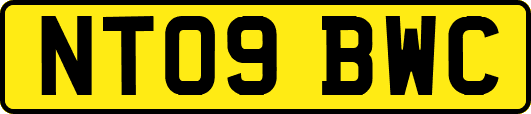 NT09BWC