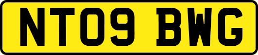 NT09BWG