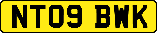 NT09BWK