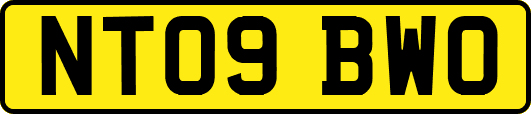 NT09BWO