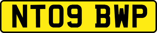 NT09BWP