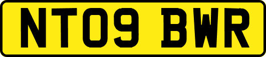 NT09BWR