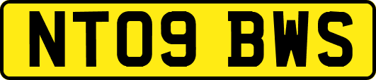NT09BWS