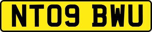 NT09BWU