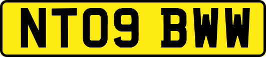 NT09BWW