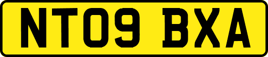 NT09BXA