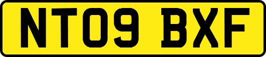 NT09BXF