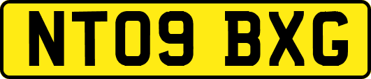NT09BXG