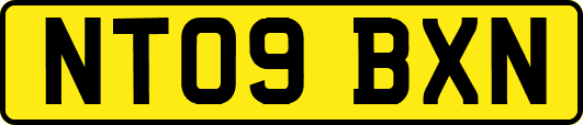 NT09BXN