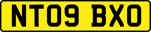 NT09BXO