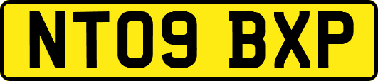 NT09BXP