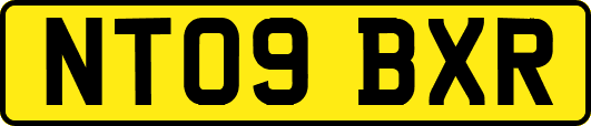 NT09BXR