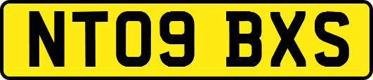 NT09BXS