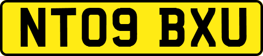 NT09BXU