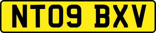 NT09BXV