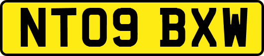 NT09BXW