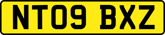 NT09BXZ