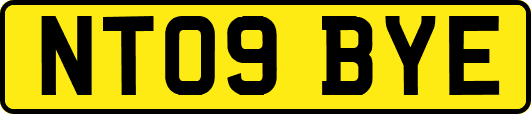 NT09BYE