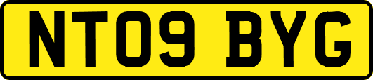 NT09BYG