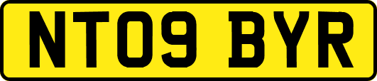NT09BYR