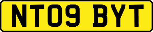 NT09BYT