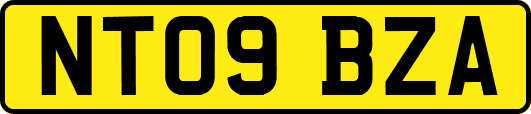 NT09BZA