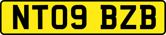 NT09BZB