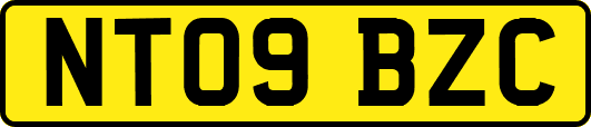 NT09BZC