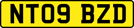 NT09BZD