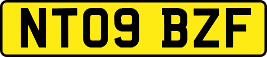 NT09BZF