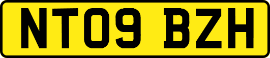 NT09BZH