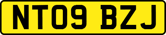 NT09BZJ