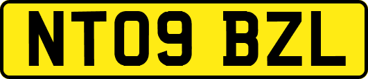 NT09BZL