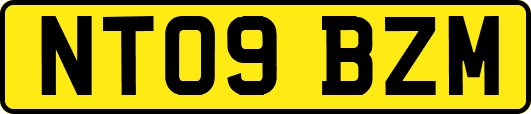 NT09BZM