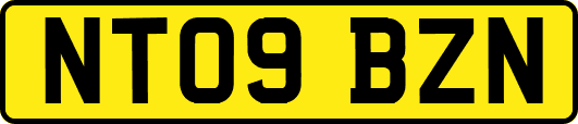 NT09BZN