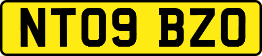 NT09BZO