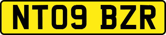NT09BZR