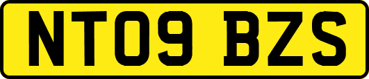 NT09BZS