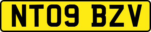 NT09BZV