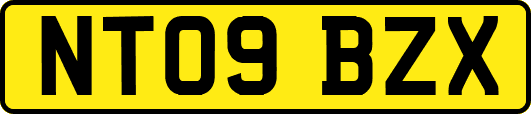 NT09BZX