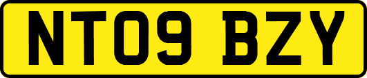 NT09BZY
