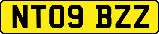 NT09BZZ