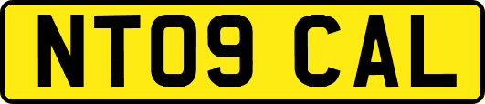 NT09CAL