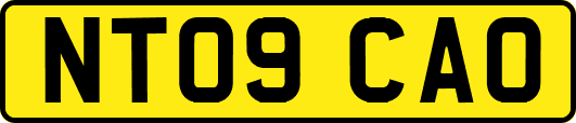 NT09CAO