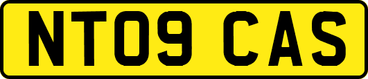 NT09CAS